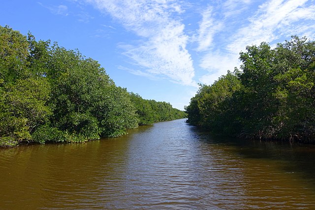 Everglades National Park