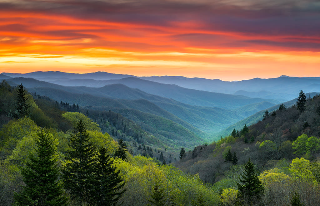 Great Smoky Mountains National Park