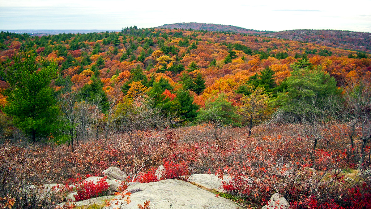 Blue Hills Skyline Trail