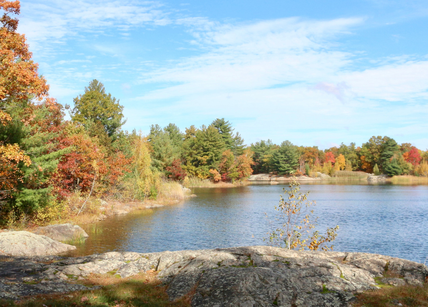 Middlesex Fells Skyline Trail