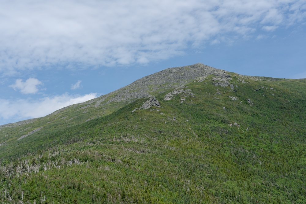 Castle Trail