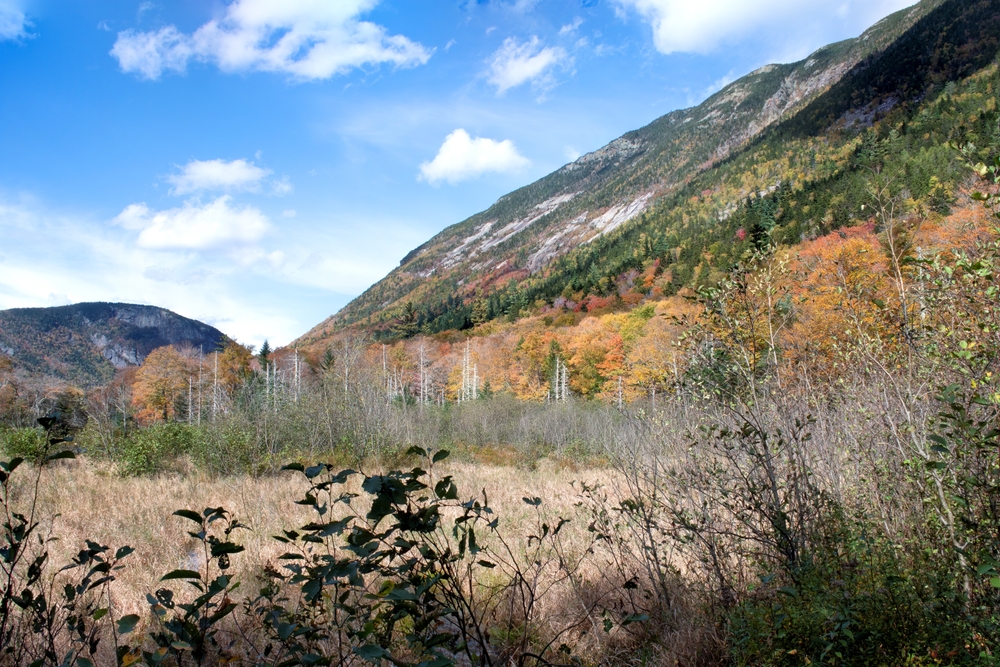 Mount Webster