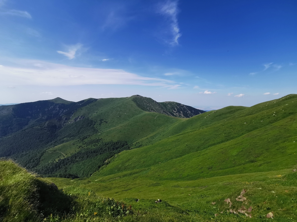 Midžor