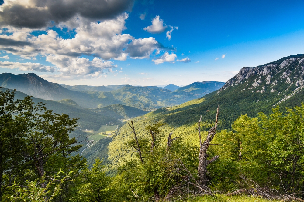 Sutjeska National Park