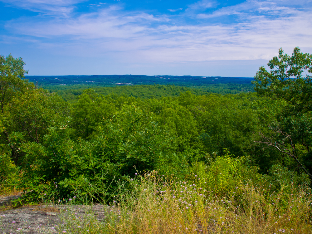 Topsfield