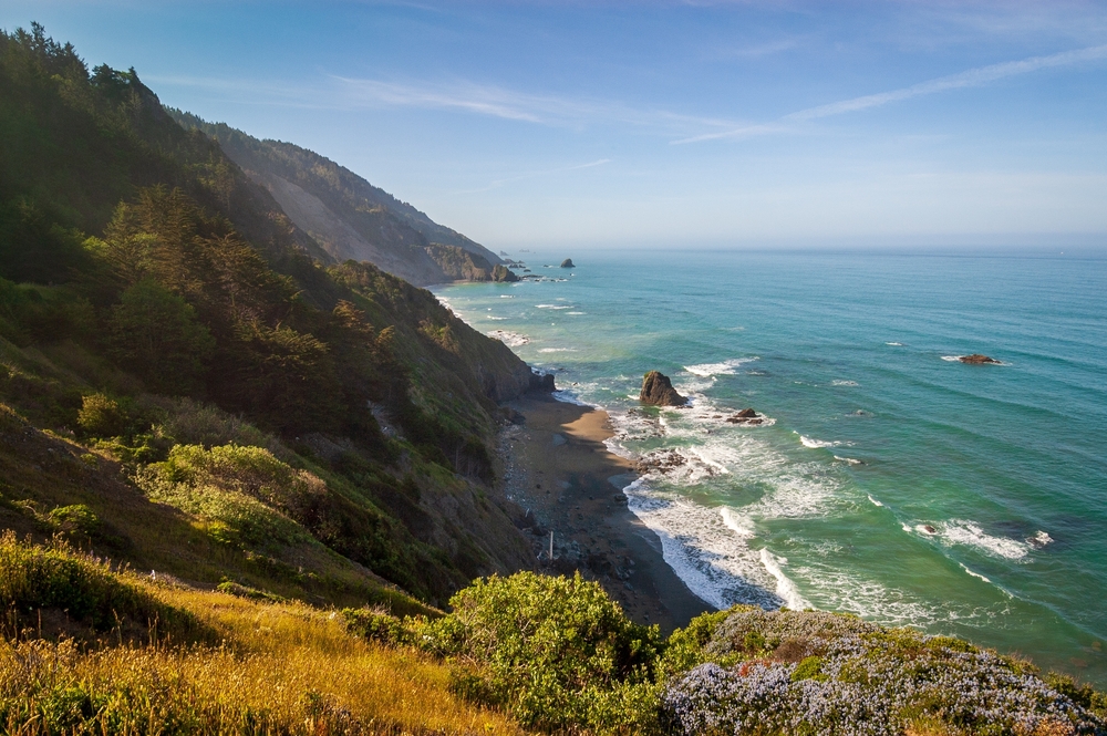 Redwood National Park