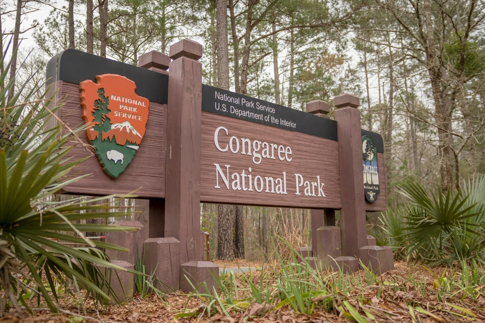 Congaree National Park
