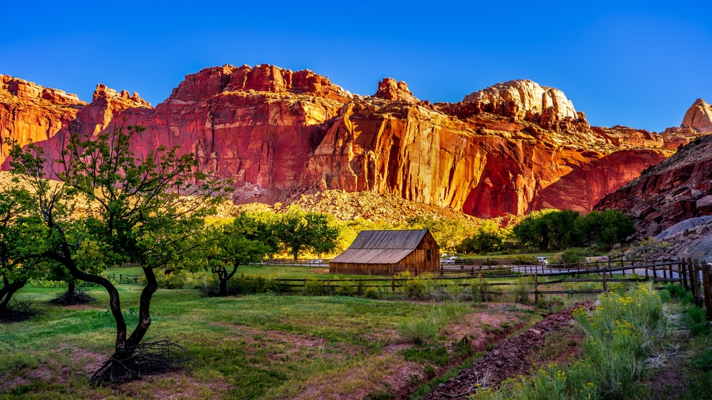 Capitol Reef National Park