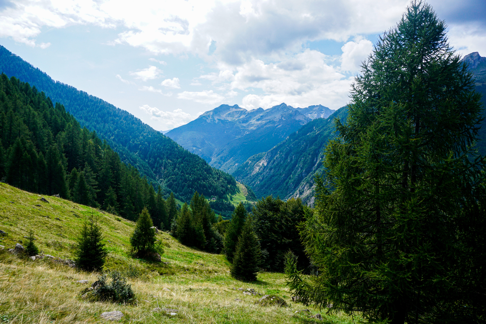 Stage 7N: Fusio to Capanna Cristallina