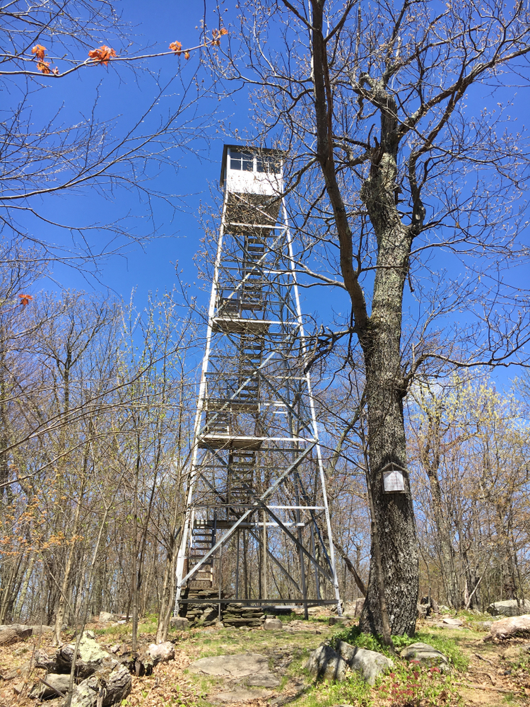 Tremper Mountain Fire Tower